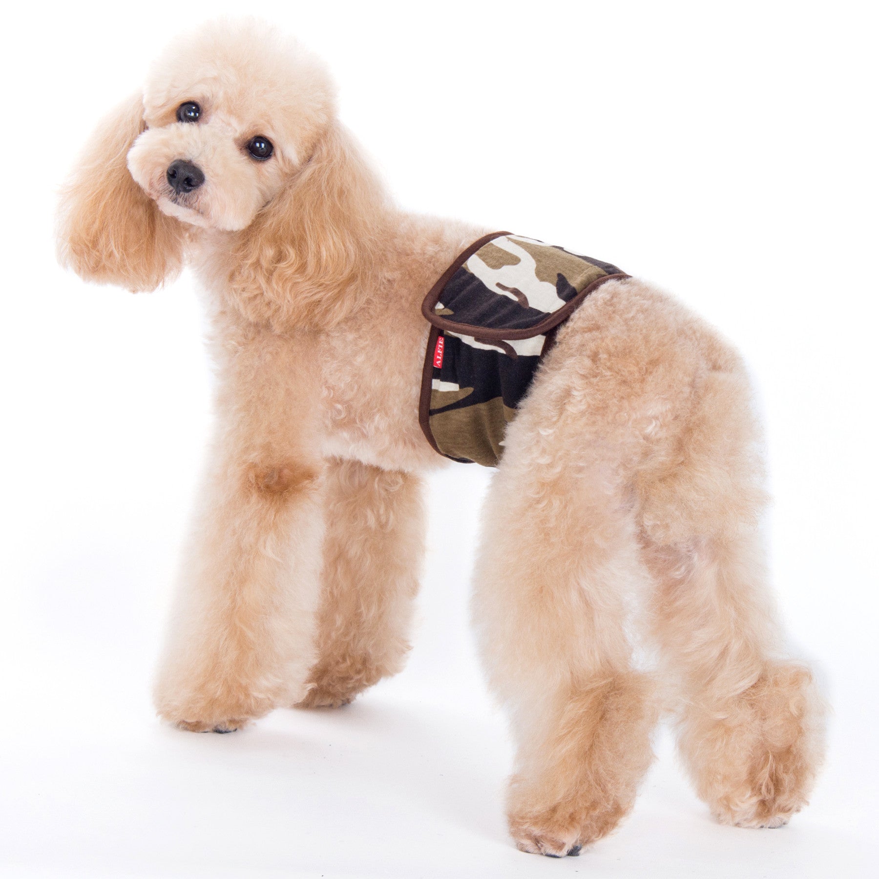 Tad Belly Band Brown