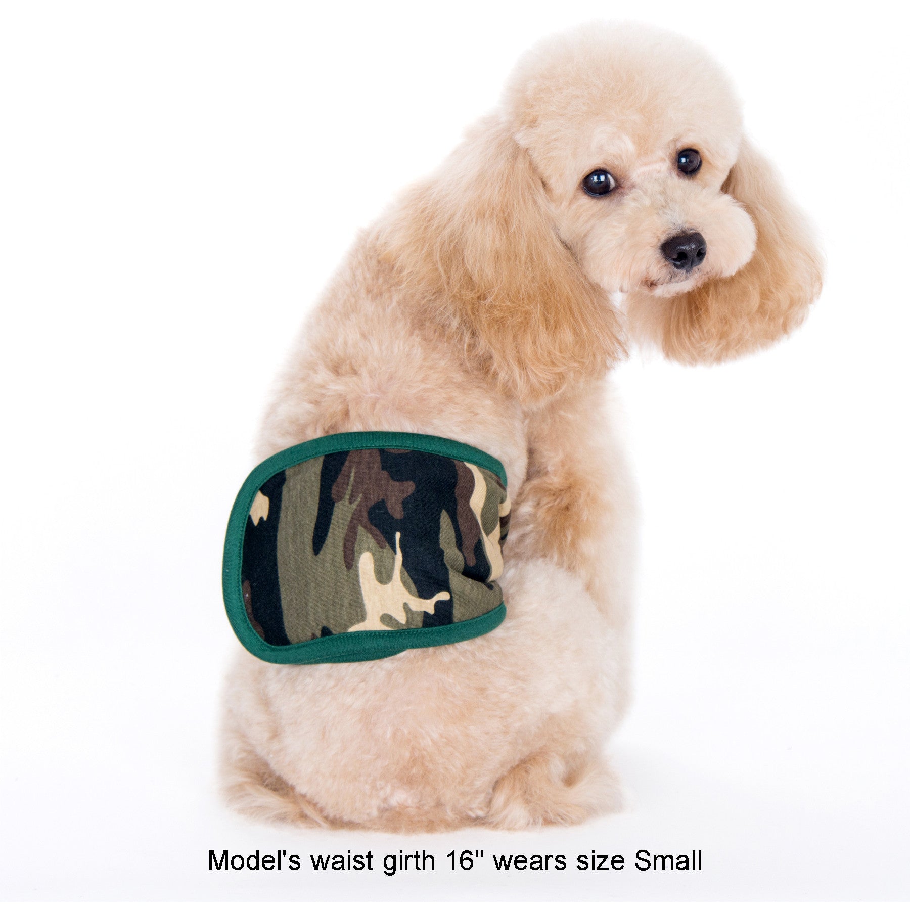 Tad Belly Band Green