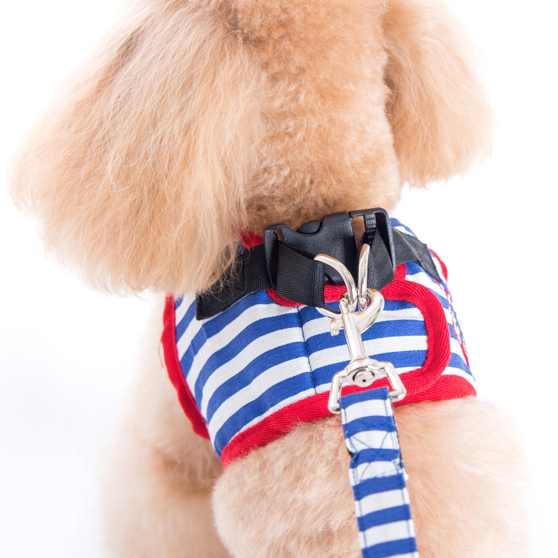 Vince Sailor Harness and Leash Set