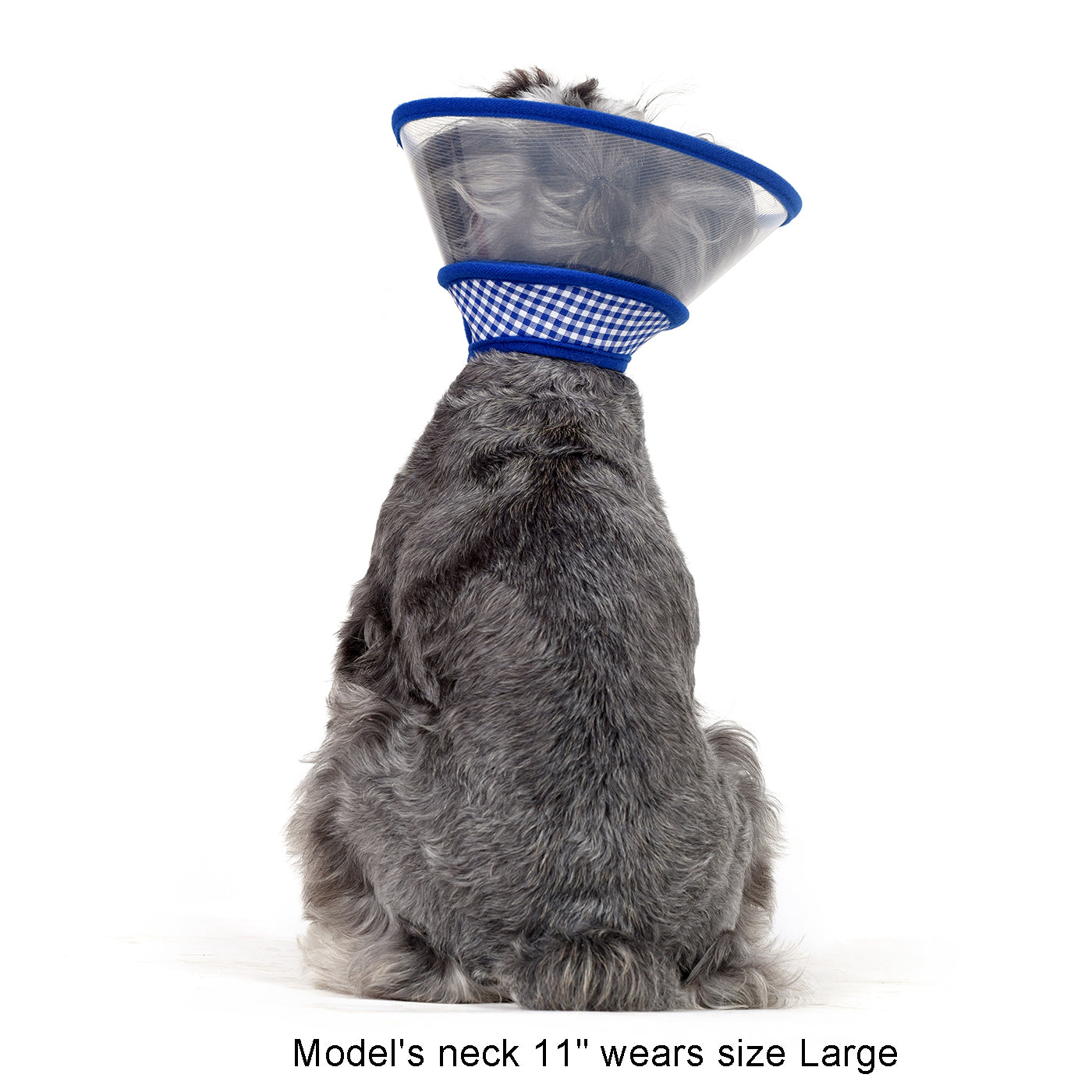 Zumi Recovery Collar with Soft Edge V2 Blue - Velcro Closure