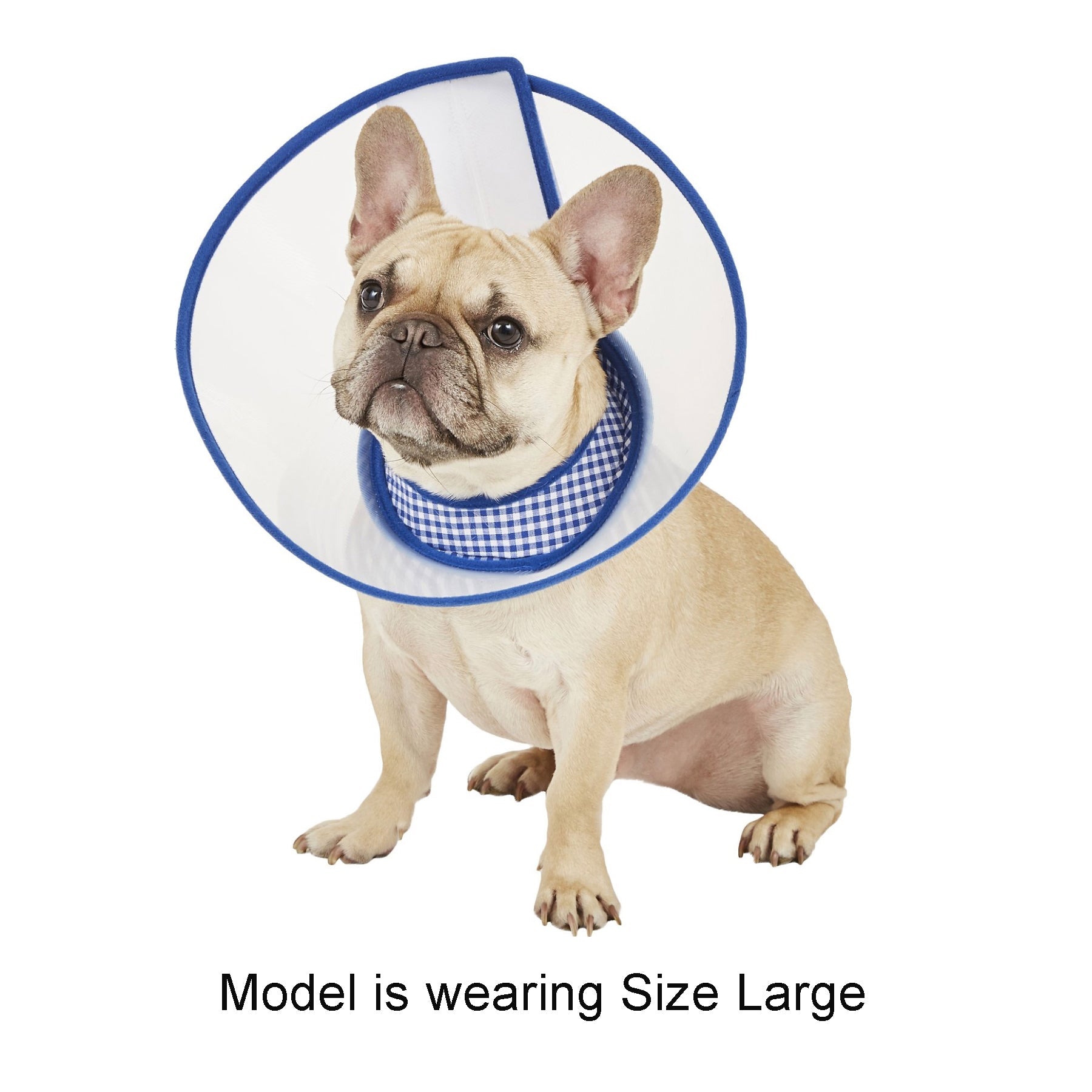 Zumi Recovery Collar with Soft Edge V2 Blue - Button Closure