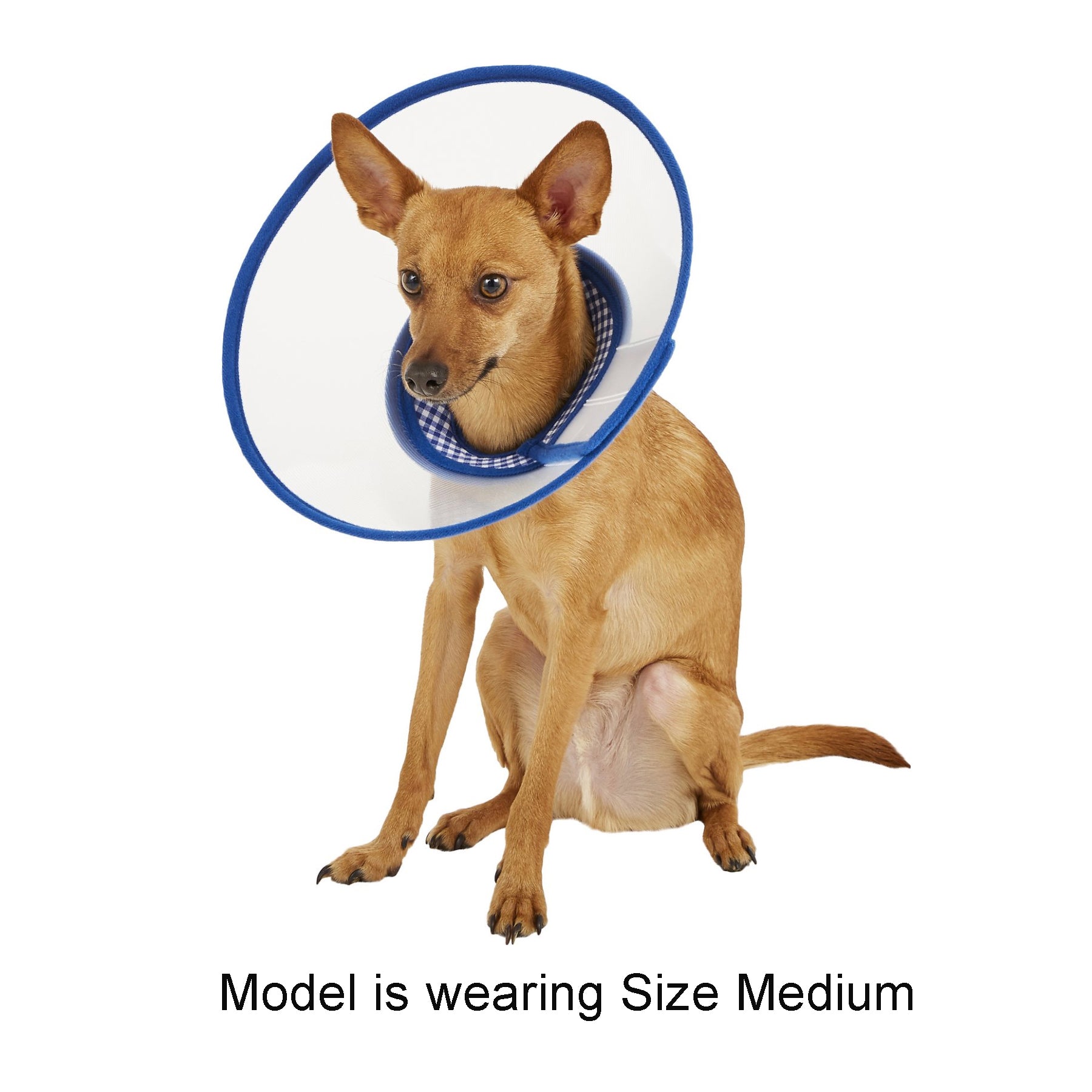 Zumi Recovery Collar with Soft Edge V2 Blue - Button Closure