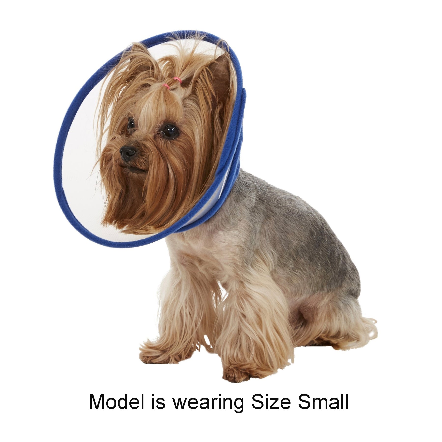 Zumi Recovery Collar with Soft Edge V2 Blue - Button Closure