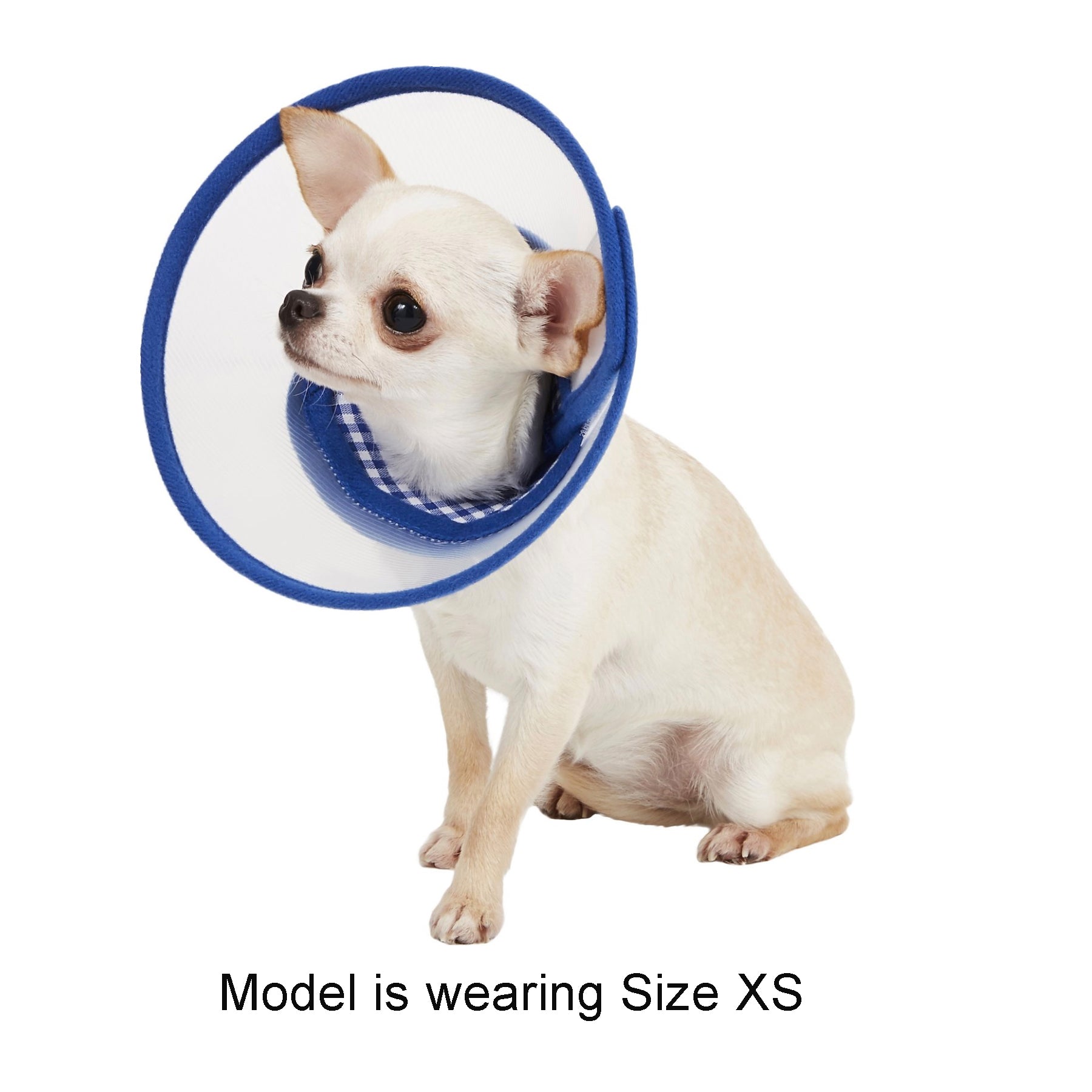 Zumi Recovery Collar with Soft Edge V2 Blue - Button Closure