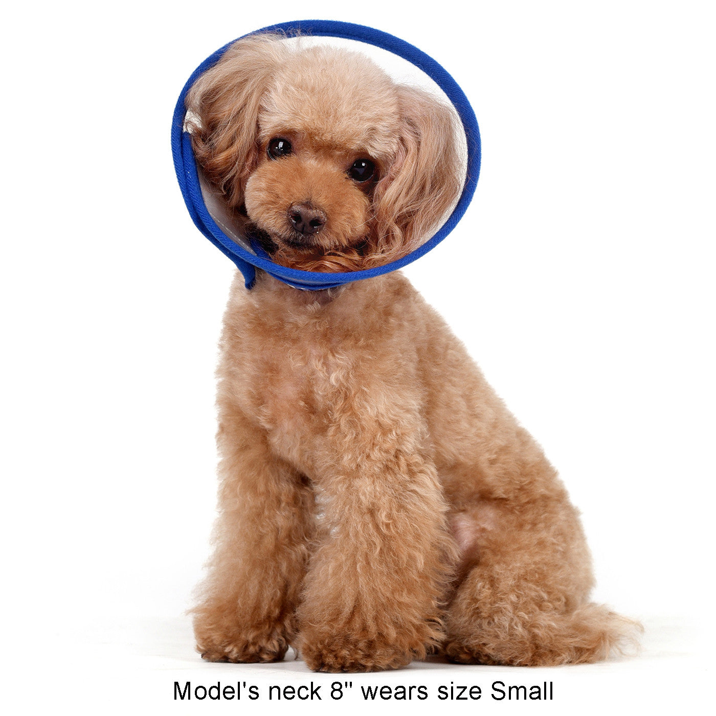 Zumi Recovery Collar with Soft Edge V2 Blue - Button Closure