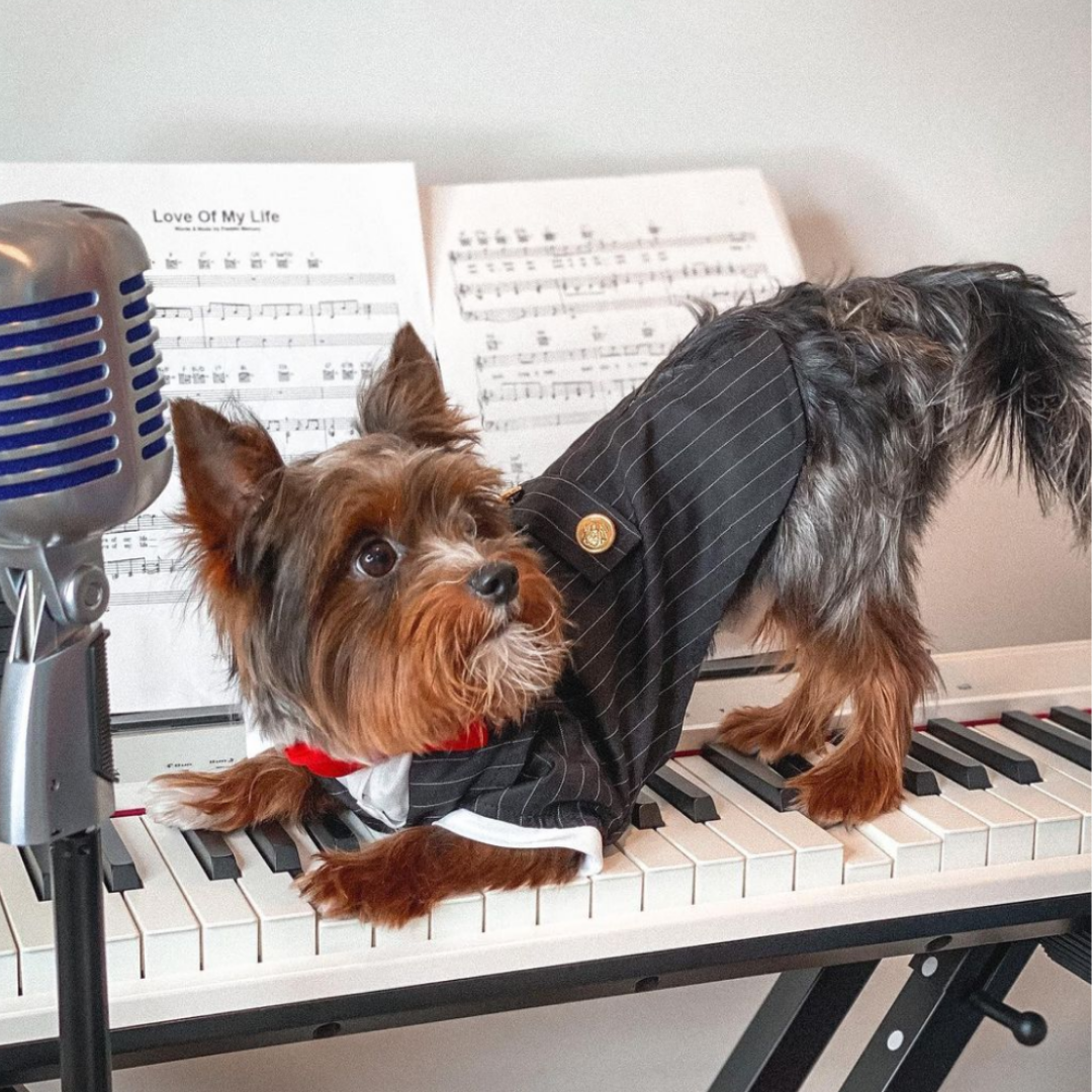 Oscar Formal Black Tuxedo with Black Tie and Red Bow Tie